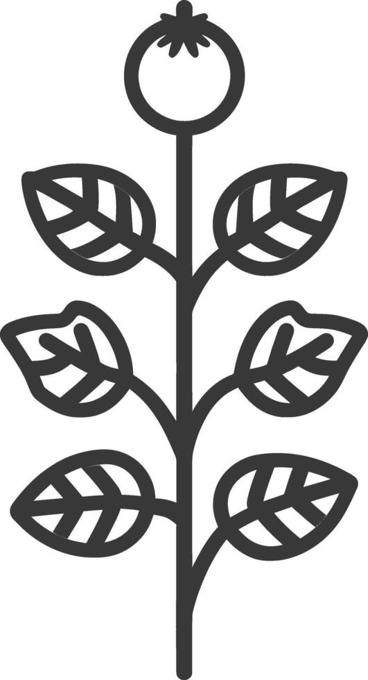 A black and white illustration of a plant with leaves vector