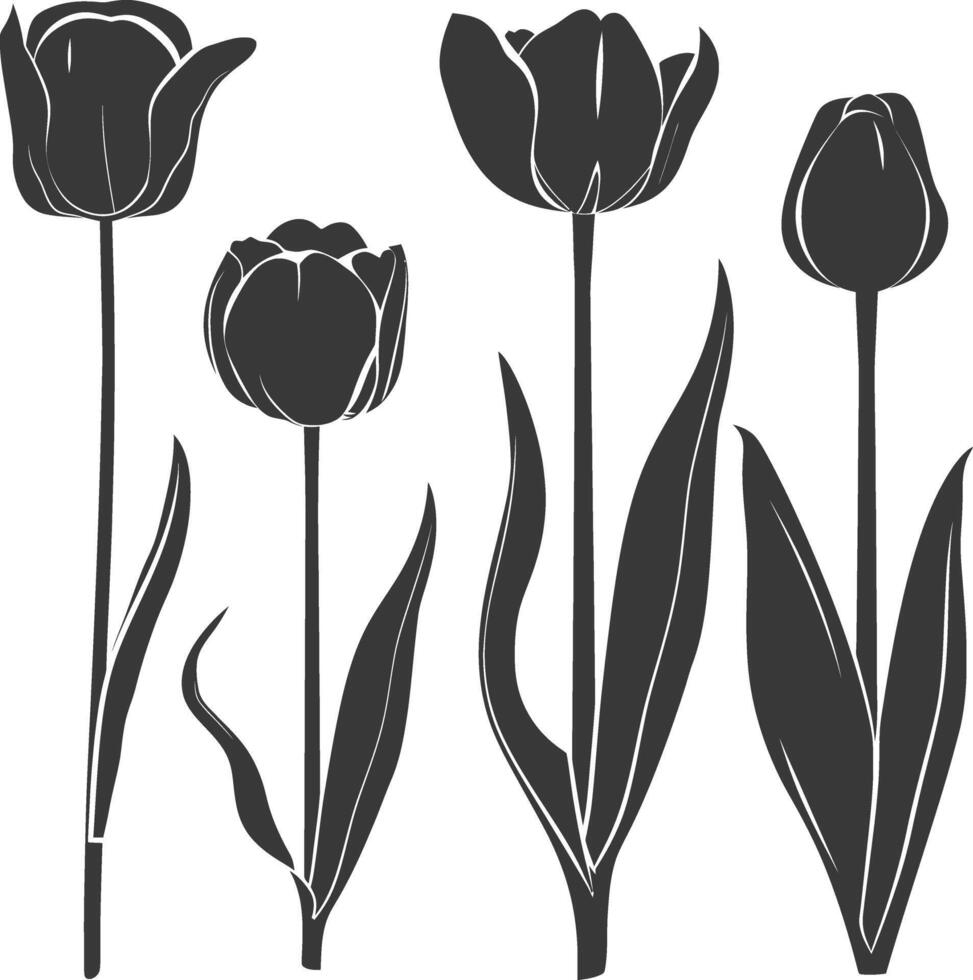 Four Black Silhouettes of Tulips with Stems and Leaves vector