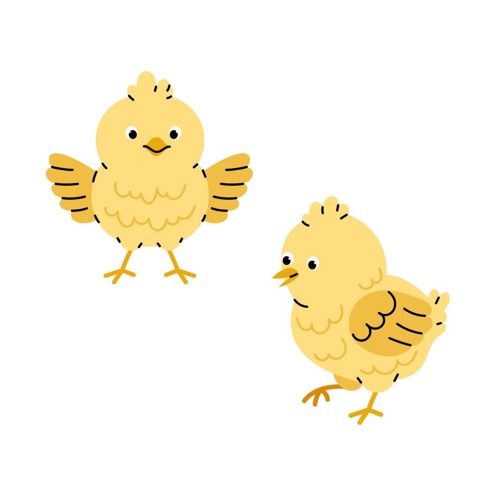 Small yellow chicks. Birds. Newborn chicks. Domestic animals. Flat illustration on white background. vector