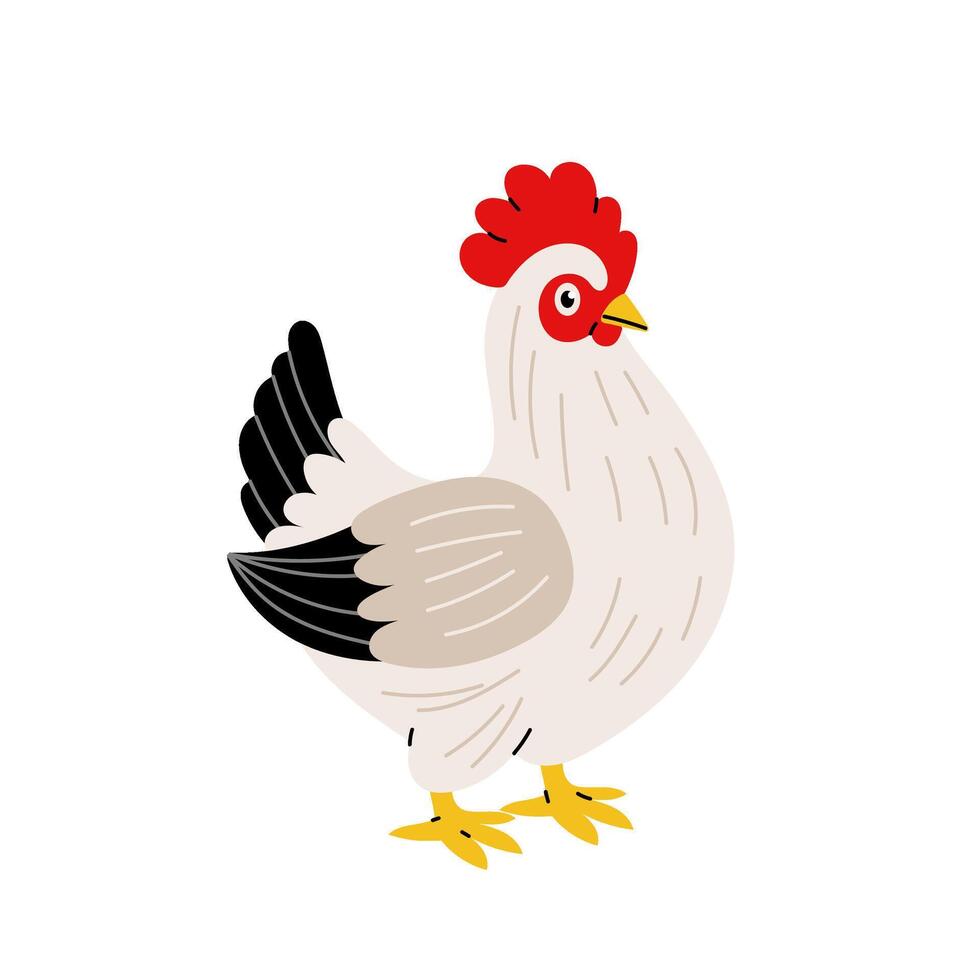 Chicken. Poultry, laying hen. Farm animal in flat style on white background. vector