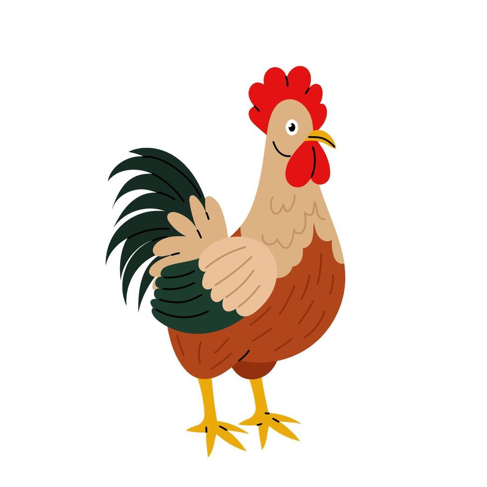 Rooster. Poultry. Morning. Farm animal in flat style on white background. vector
