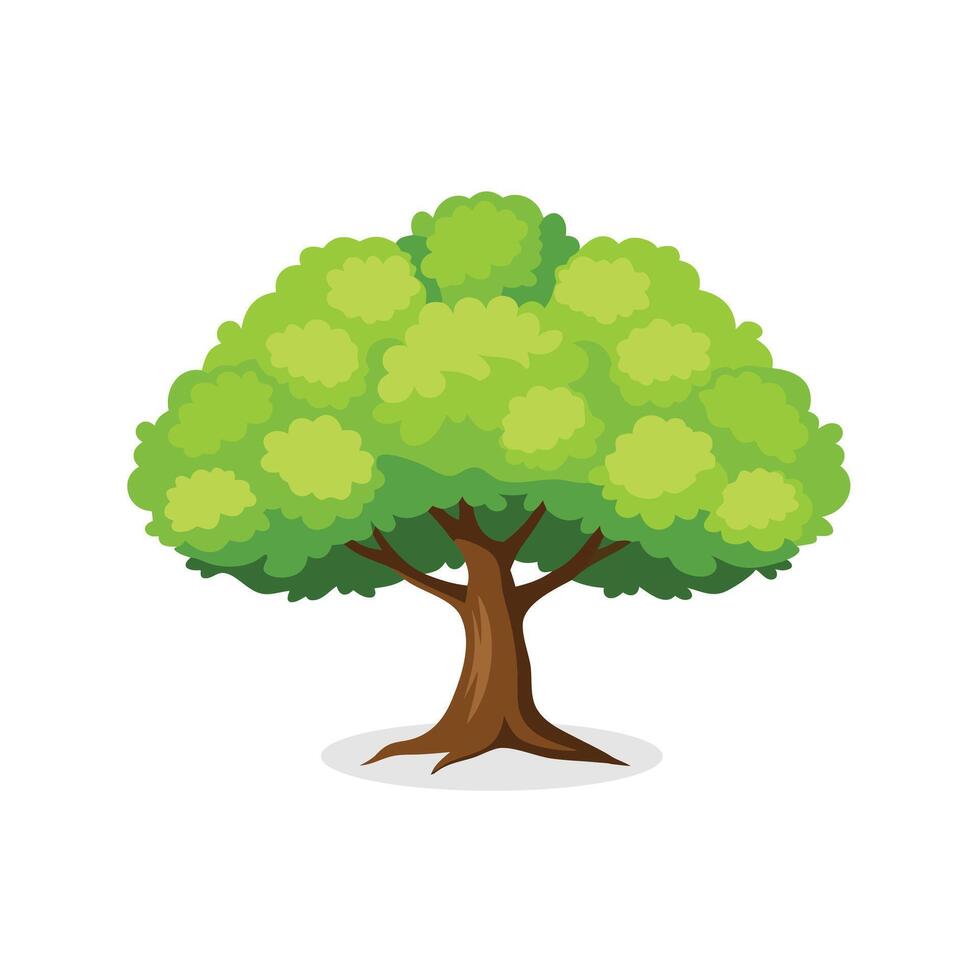 Lush Osage Orange Tree isolated flat illustration white background. vector