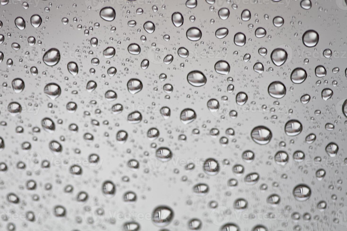 water drops on the window photo