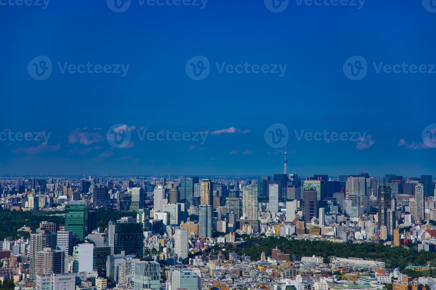 A cityscape at Aoyama area behind Tokyo sky tree high angle photo
