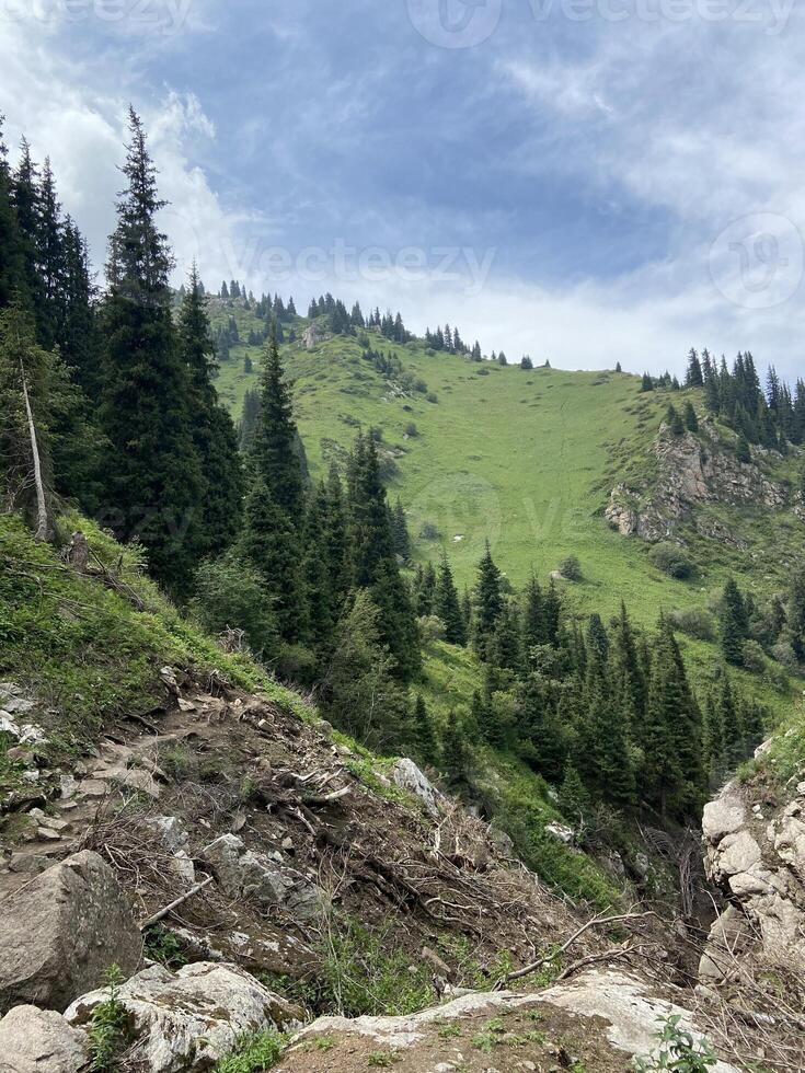 Rocky mountainside leading to lush green valley below photo