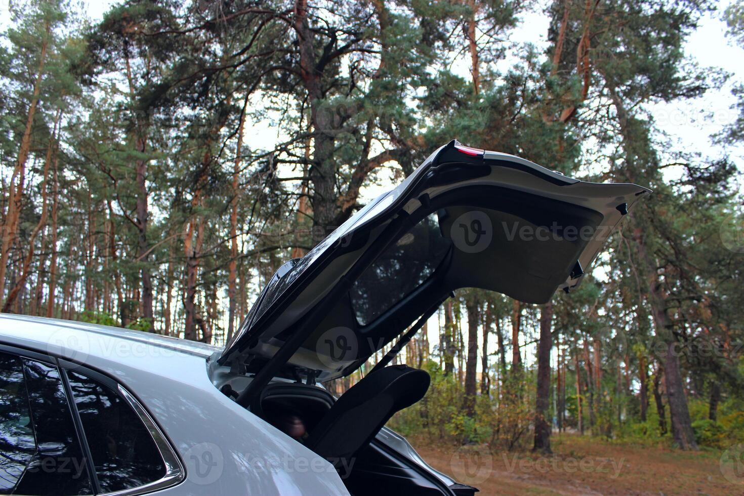 Opened Trunk Of White Car Parked On Forest Clearing. Journey Through The Forest By Vehicle photo