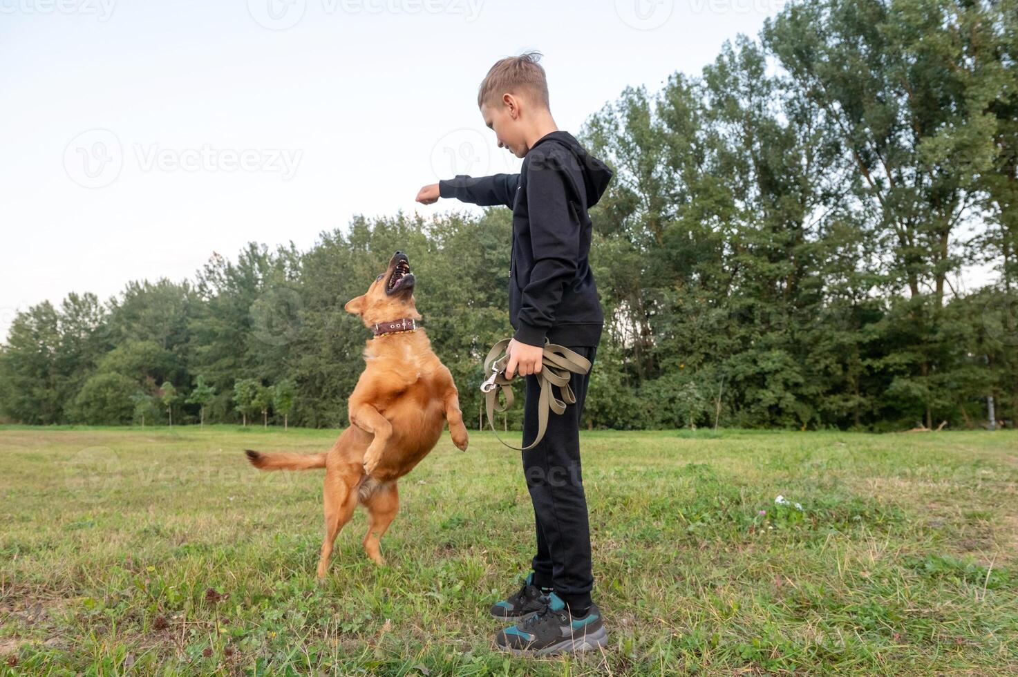 Joyful Boy Playing with His Leaping Dog in a Green Park Thankful For My Dog Day photo