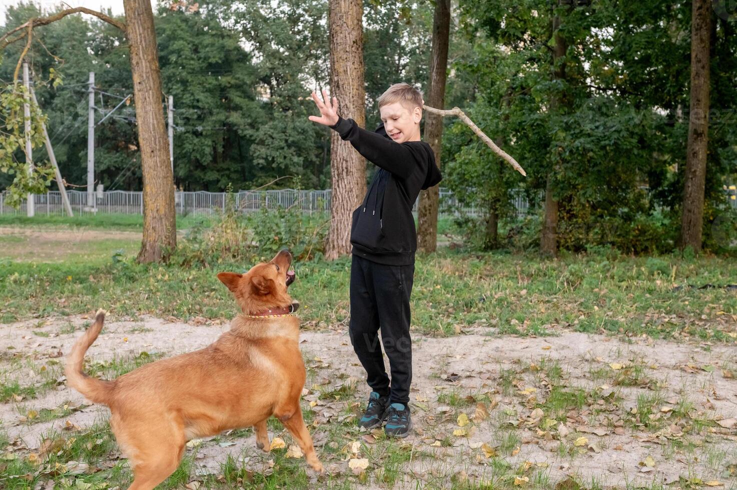 Young Boy Playing Fetch with Loyal Dog in Park photo