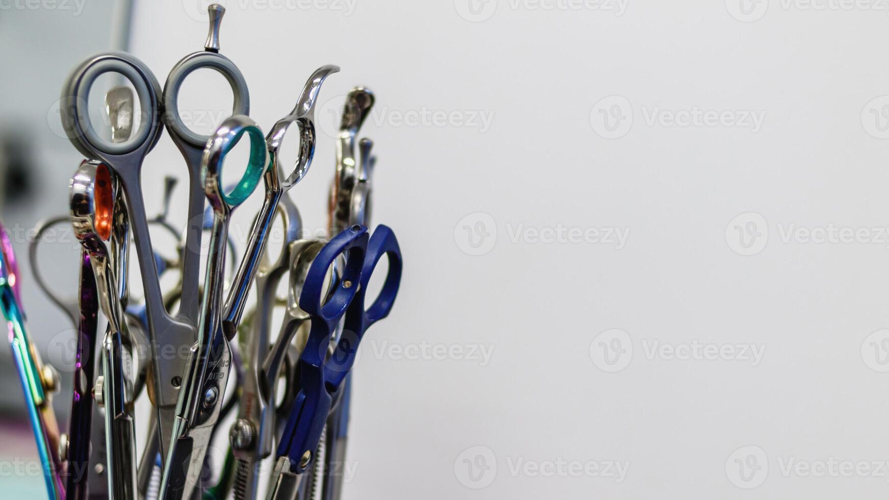 Collection of scissors in grooming salon and pet spa photo