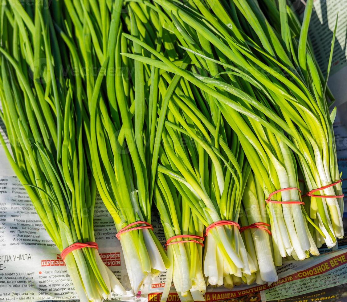 Leeks arranged in large piles on the display at the farmer's market. Green leafy leek. A pattern of green stems. photo