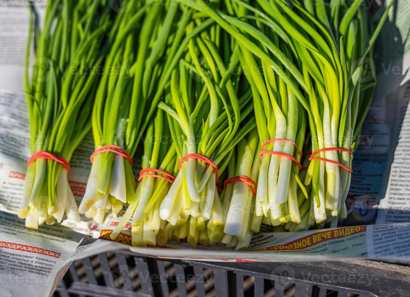 Leeks arranged in large piles on the display at the farmer's market. Green leafy leek. A pattern of green stems. photo