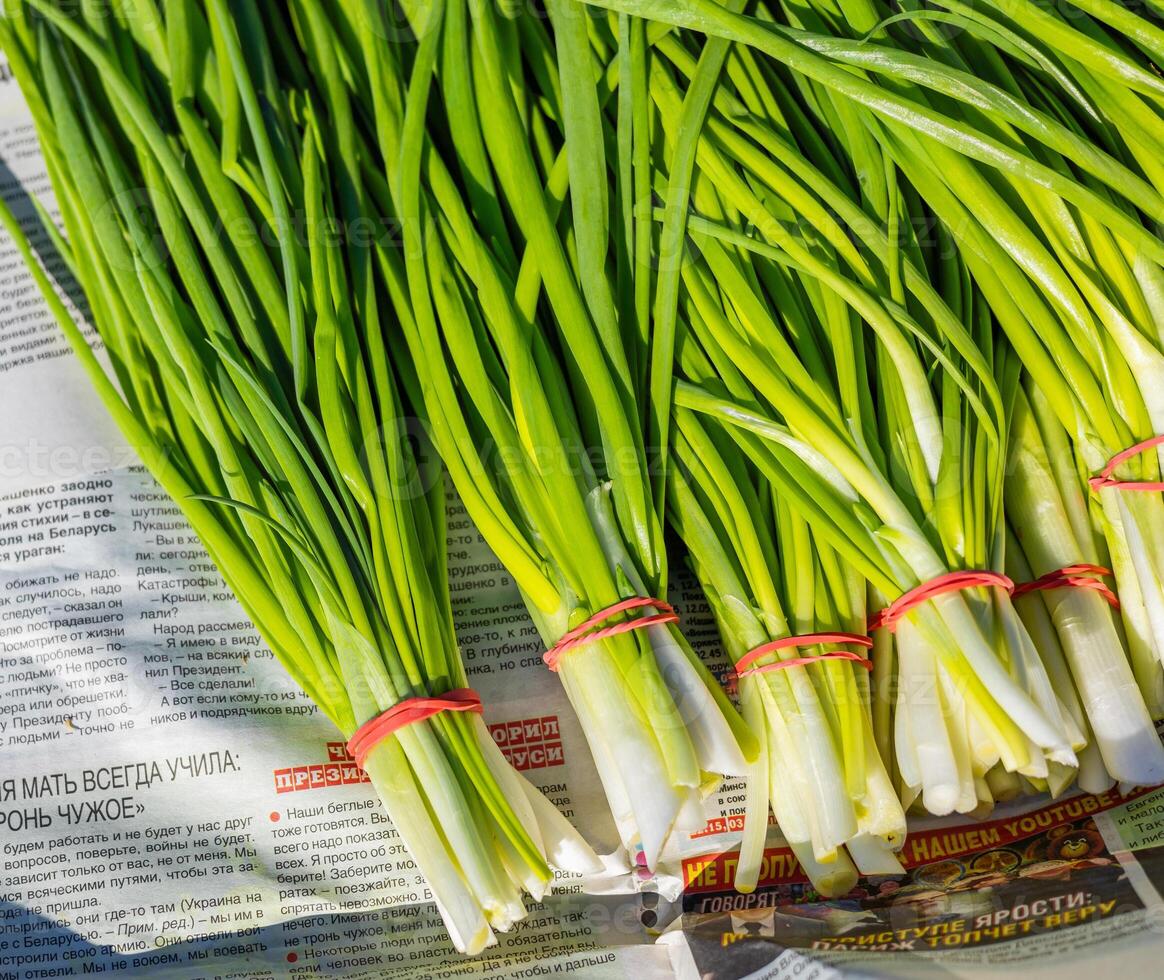 Leeks arranged in large piles on the display at the farmer's market. Green leafy leek. A pattern of green stems. photo