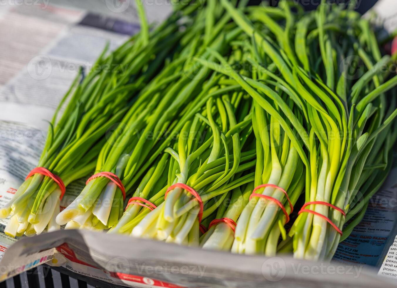 Leeks arranged in large piles on the display at the farmer's market. Green leafy leek. A pattern of green stems. photo