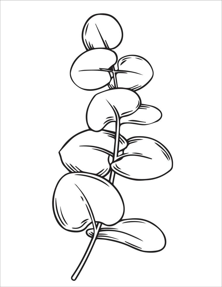 eucalyptus branch. illustration in sketch style. vector