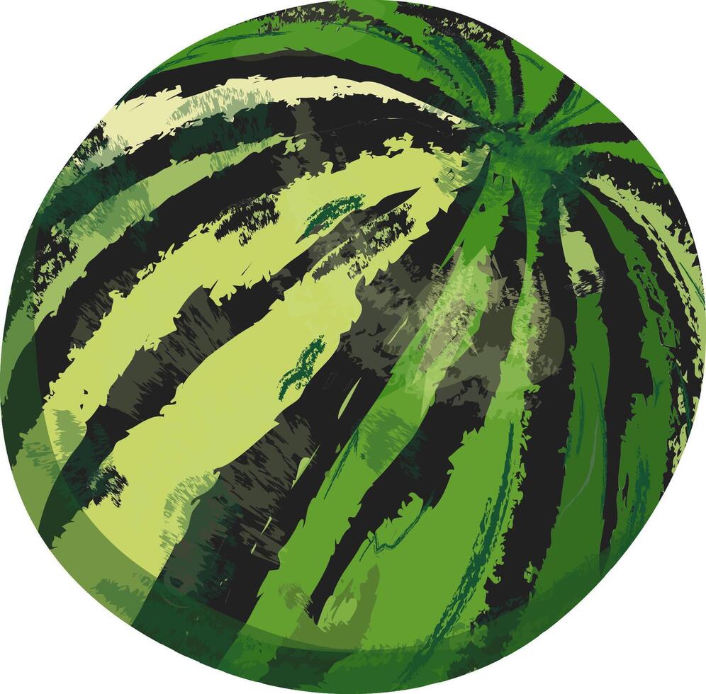 Watermelon isolated on a white background vector
