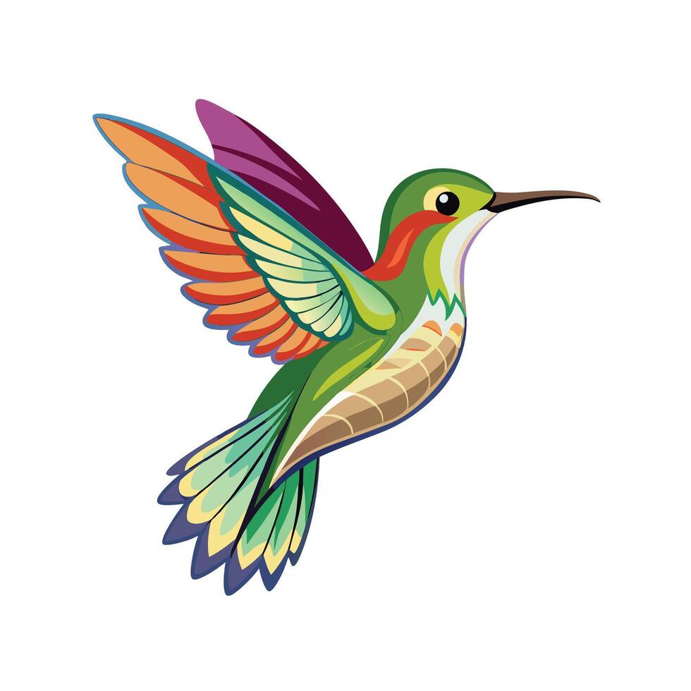 colorful hummingbird flying, white background vector