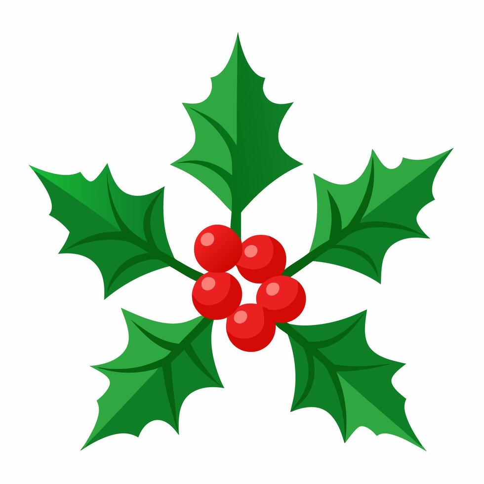 Holly branch with red berries Christmas symbol illustration vector