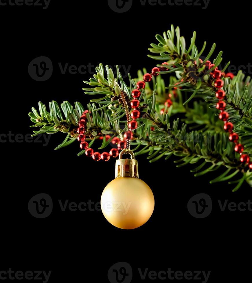 Yellow ball and red string of beads on a green branch of a Christmas tree isolated on a black background photo