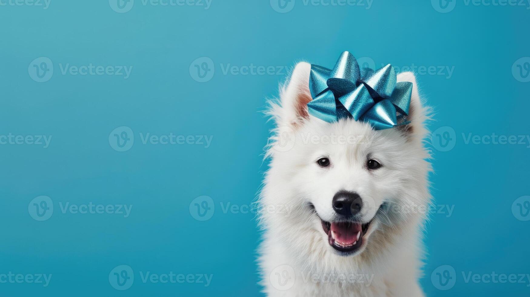 portrait samoyed dog with bow on head, clean background, copy space for text photo