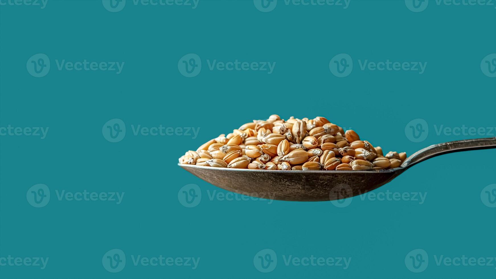 Heaping Spoonful of Malted Barley Grains. Home Brewing, Craft Beer Ingredient, Organic Cereal Concept. Copyspace. photo