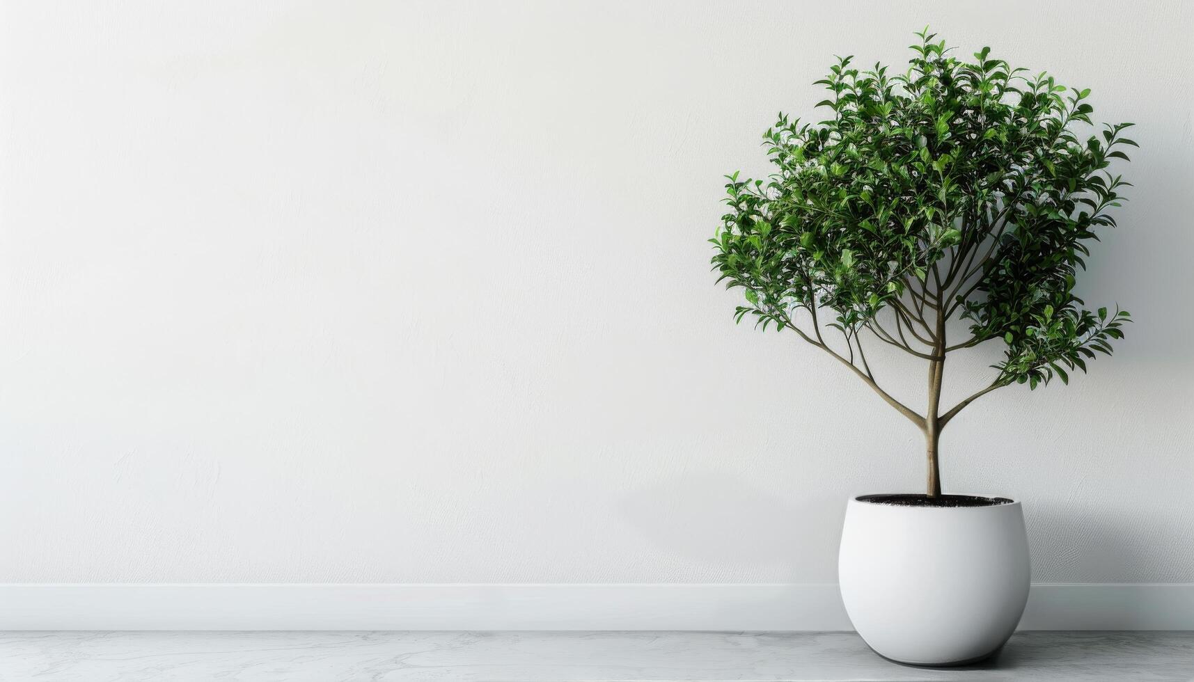 Potted Plant on White Table photo