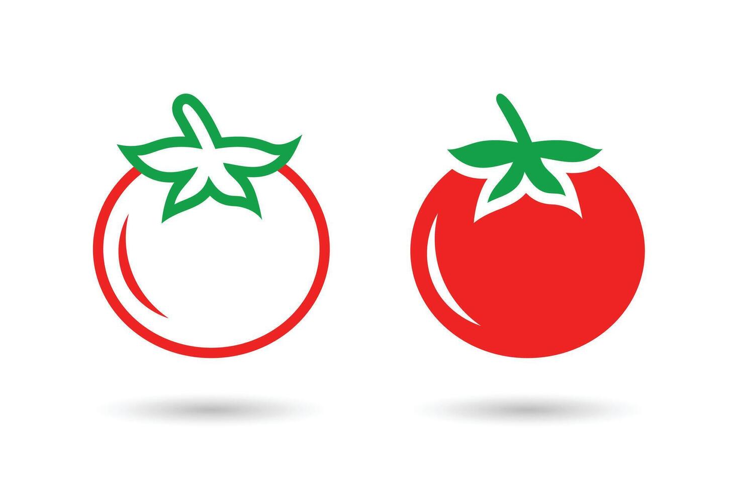 Tomato icon. Cherry Tomato icon. Isolated vegetable icon. vector