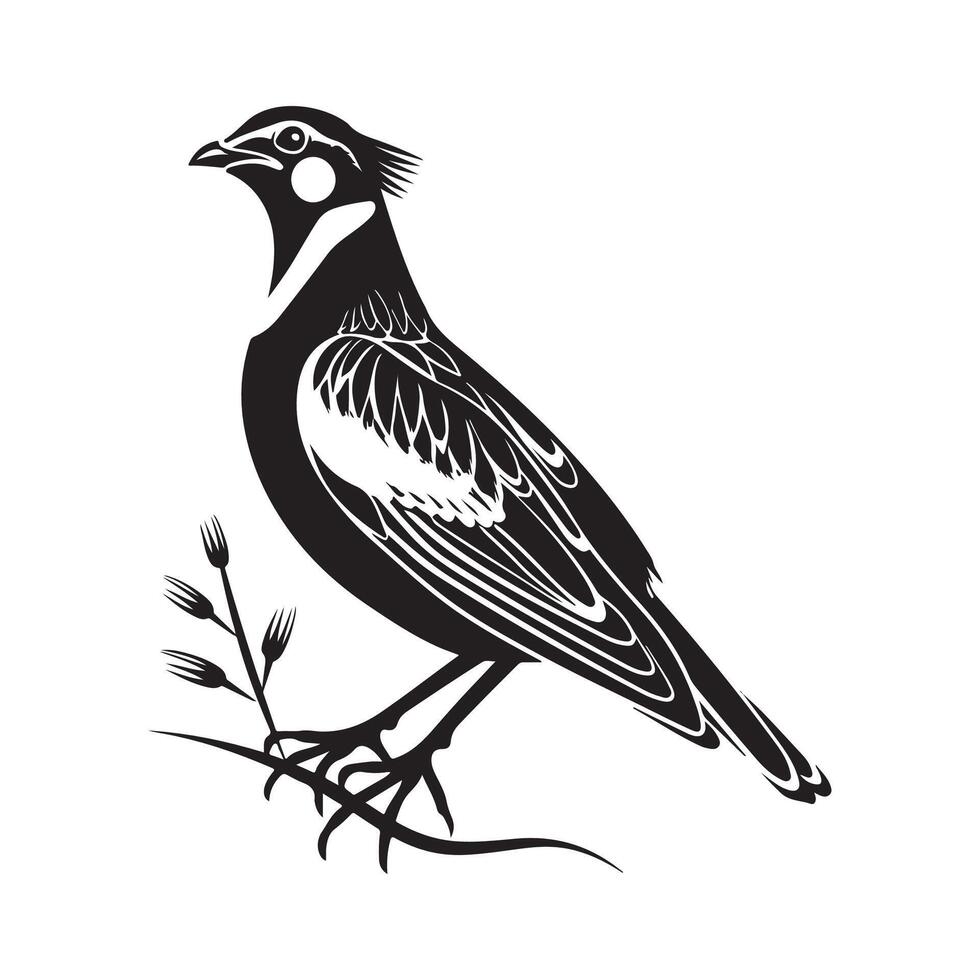 Quail Silhouette Design Art, Icons, and Graphics isolated on white background vector