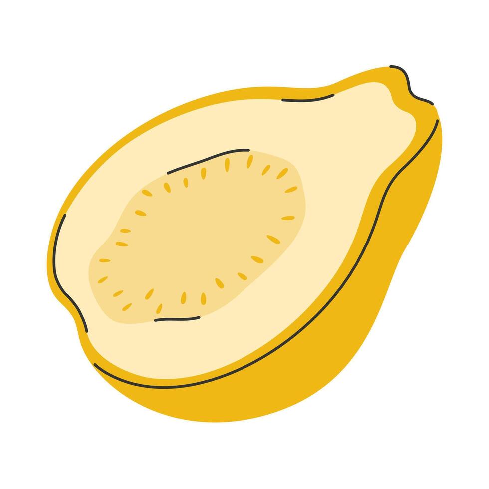 Hand drawn half yellow guava in doodle style. Slice of tropical fruit for healthy lifestyle vector