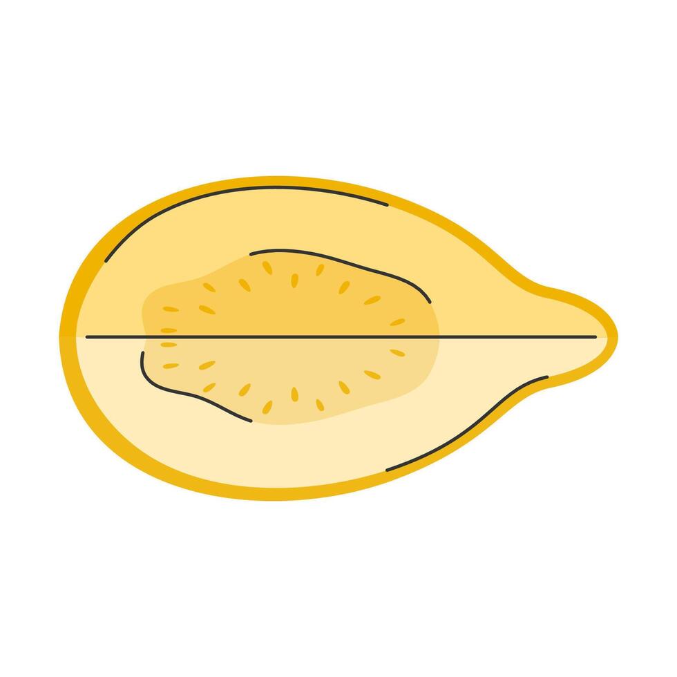 Hand drawn yellow half guava in doodle style. Top view. Cut piece of exotic fruit vector