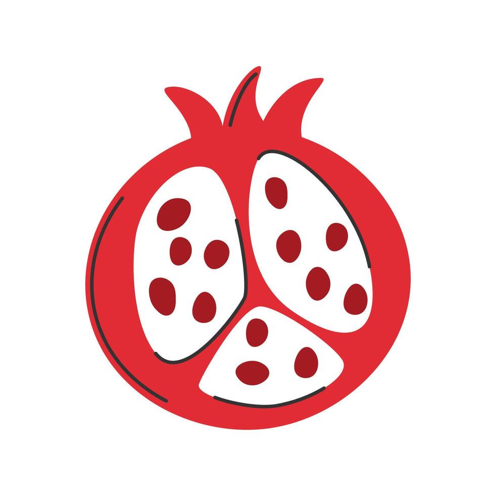 Hand drawn half of red pomegranate in doodle style. Summer fruit. Cut piece of fresh fruit vector