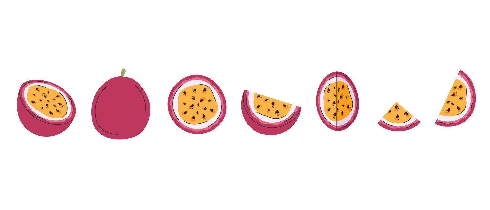 Set of passion fruits. Maracuja whole, half, slices, quarter. Ripe healthy fruits vector