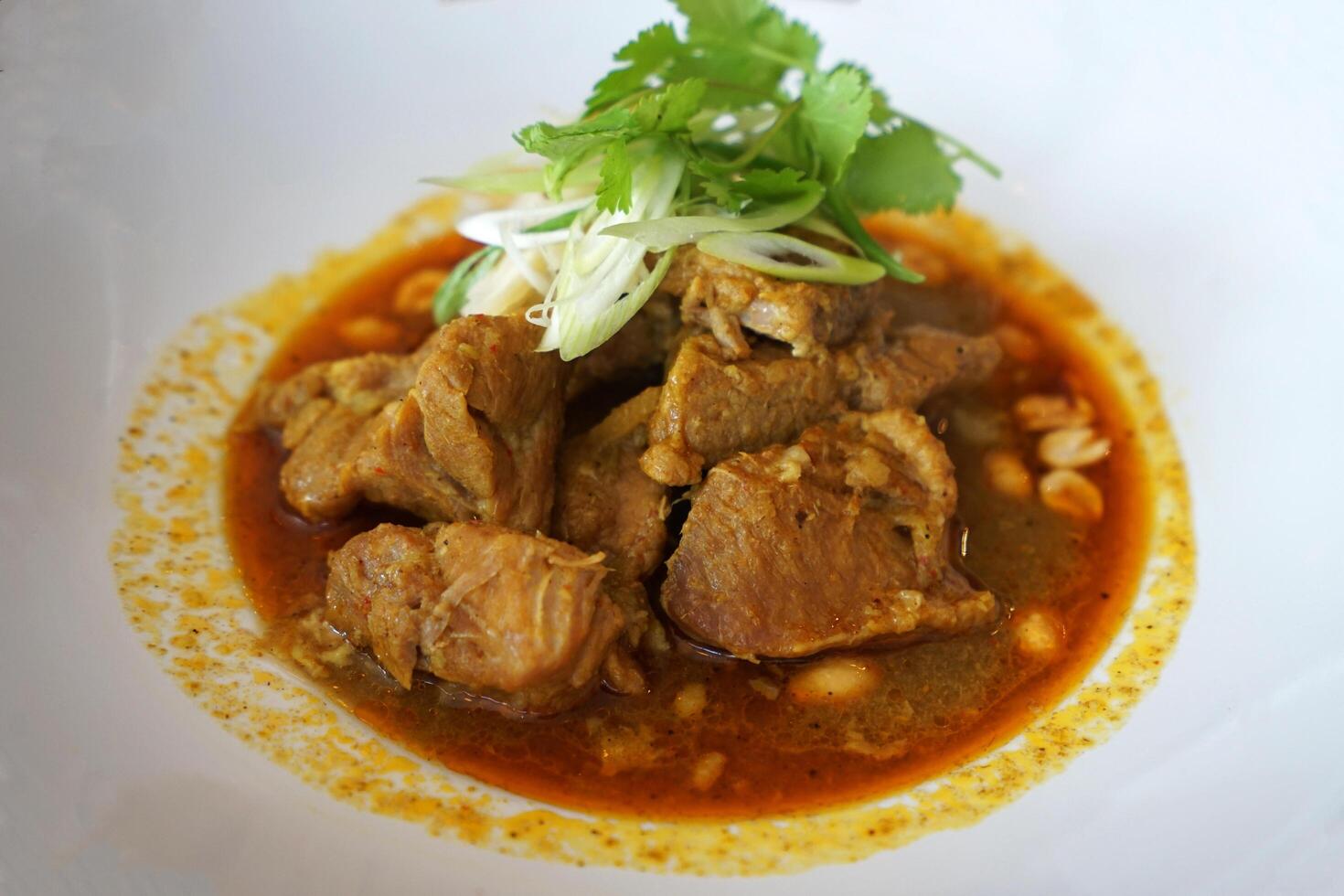 Close up bowl pf pork Hinlay curry photo