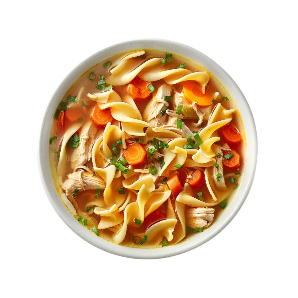 A bowl of chicken noodle soup with carrots and herbs png
