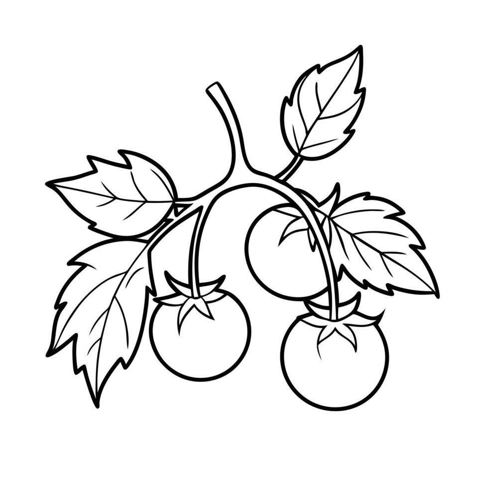 Tomatoes and Basil - A group of tomatoes leaves arranged together, outlined for a fresh garden-themed coloring page. vector