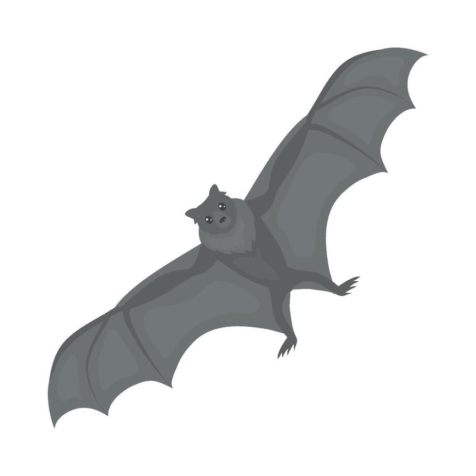 A bat flying in the air icon vector