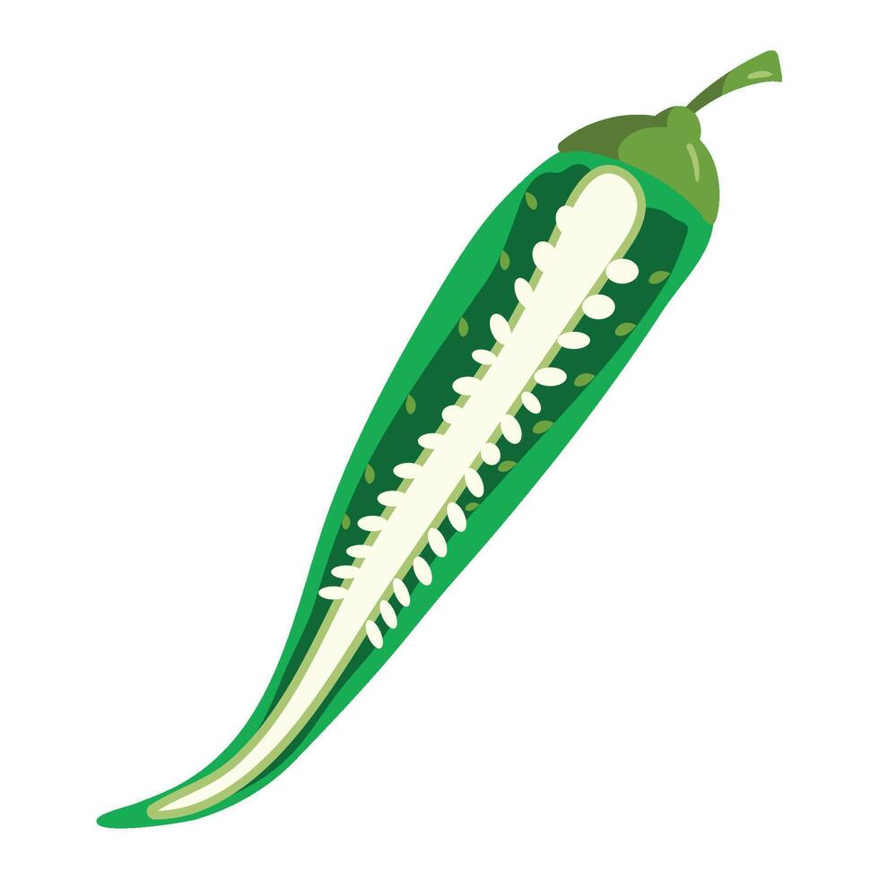 haf jalapeno green illustration vector