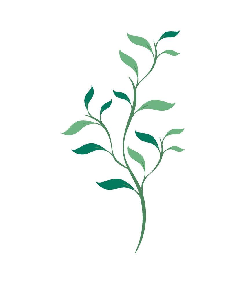 green plant leaves branch isolated vector