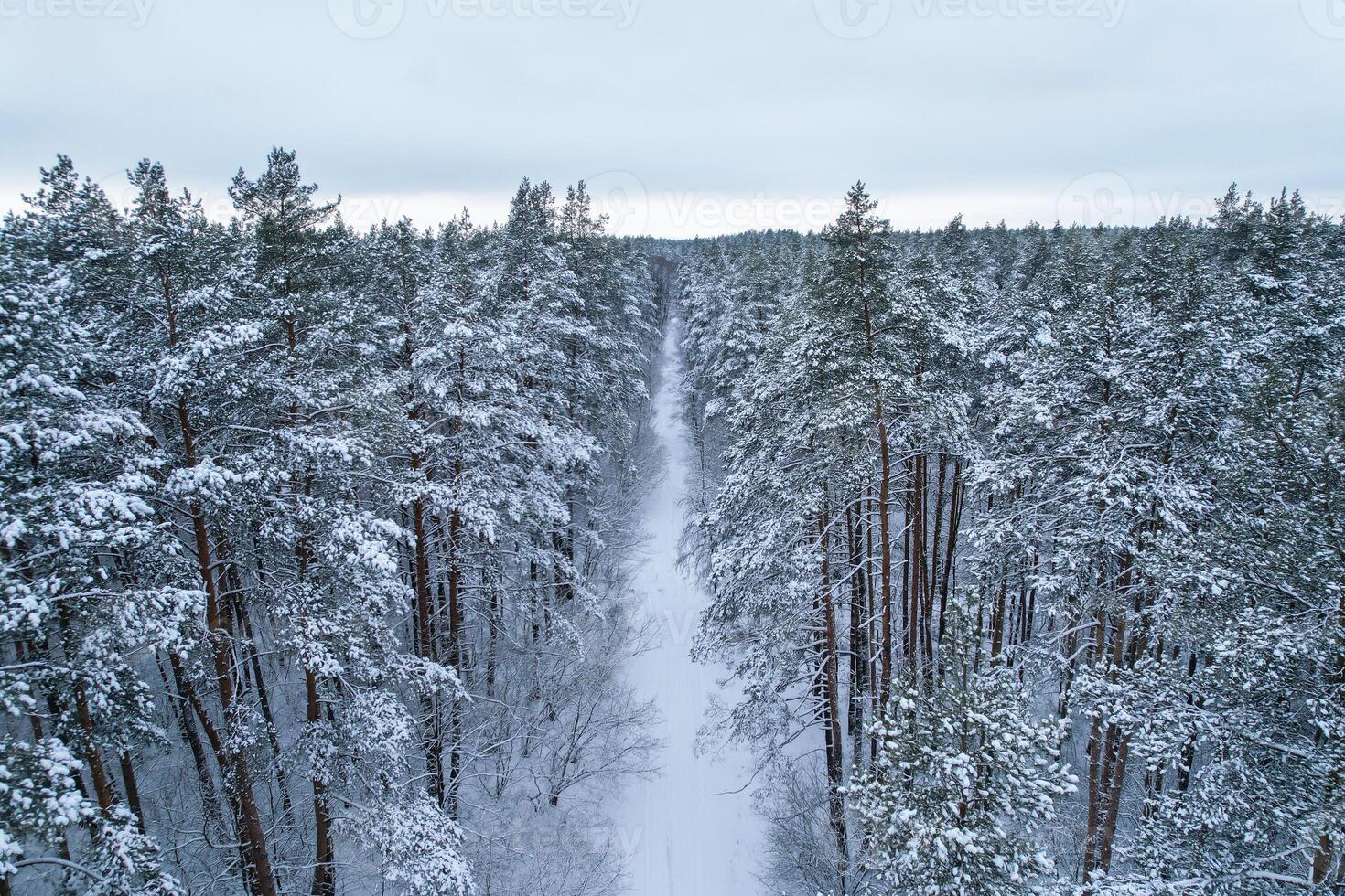Pine and fir trees forest covered in snow. Aerial landscape from drone view. Christmas is coming. Cold frosty winter season nature background. View from above of snowy country road photo