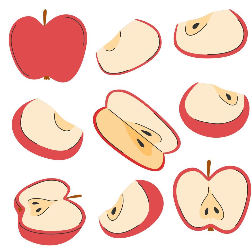 Set of red apple whole, half, slices and pieces juicy fruit. Hand drawn doodle fresh diet fruit vector
