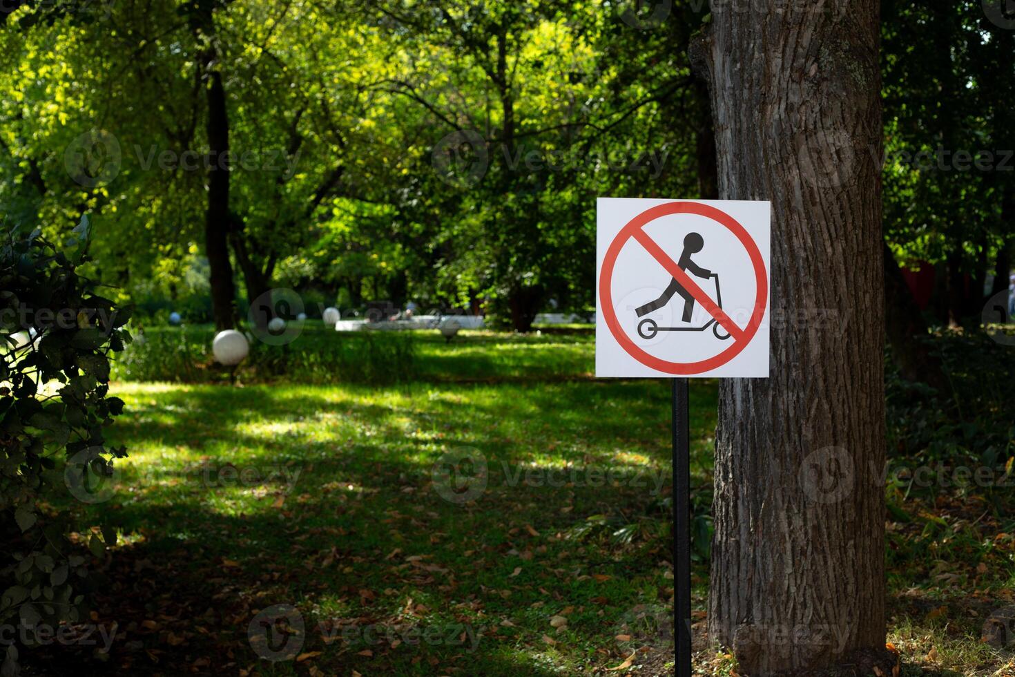 Sign in park with crossed out electric scooter. Ban on riding scooter in public place on street of modern city, rules for transport photo