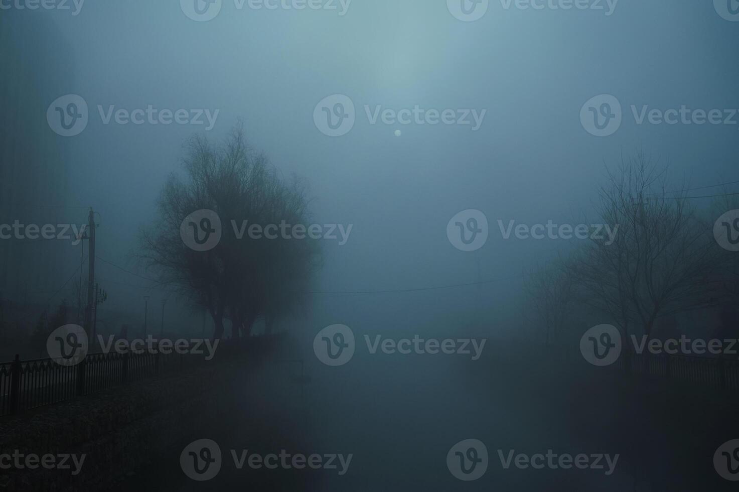 foggy landscape with a river and trees on an alley in the city on an autumn evening in fog mist photo