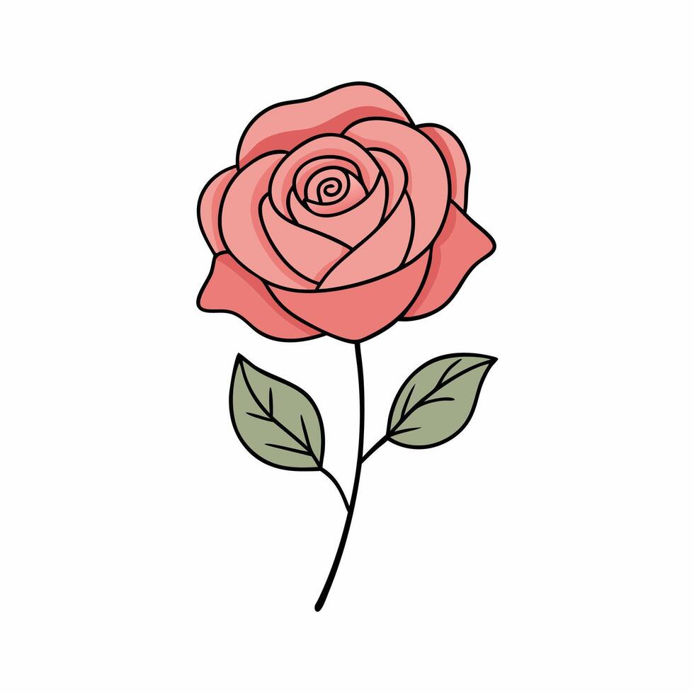 A rose is shown with a stem and leaves vector