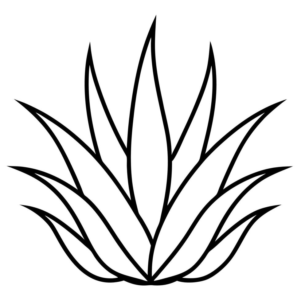 An outline of an aloe plant vector