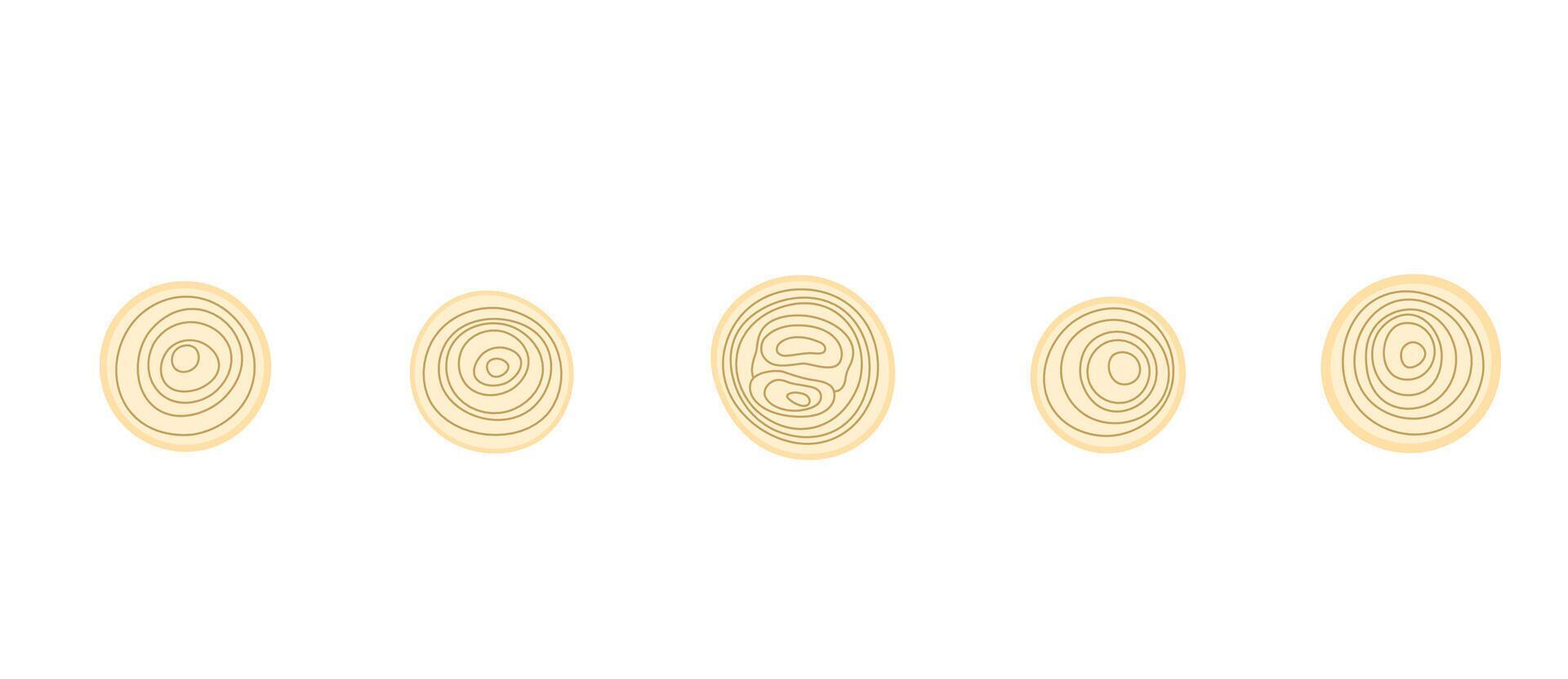 illustration of cutted onion rings, top view. Perfect for food recipe designs vector