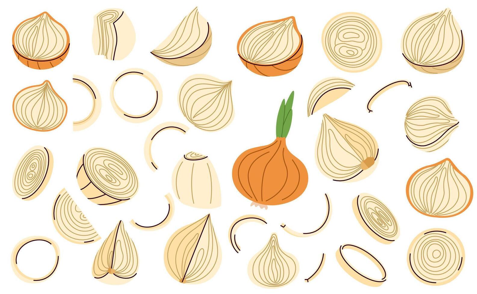 Set of yellow onion slices, rings, and whole bulbs in a detailed , ideal for cooking packaging vector