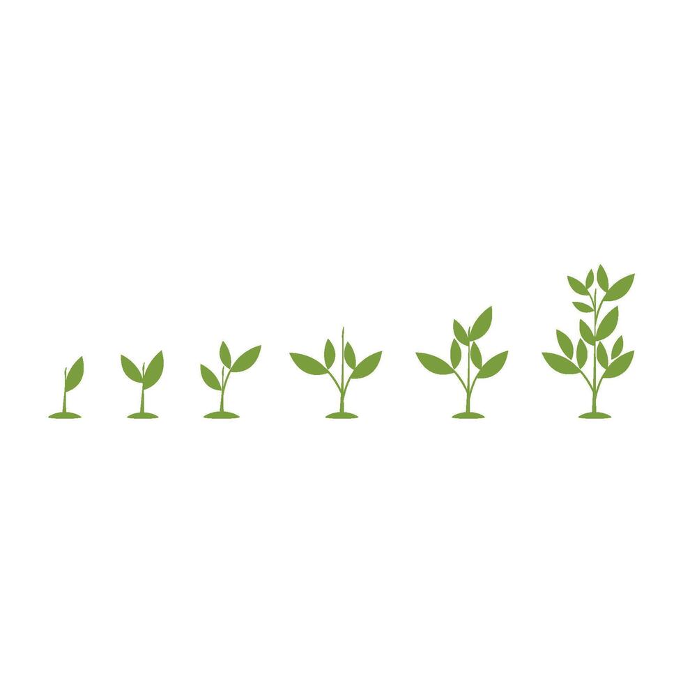 Business investment icon illustration design template vector