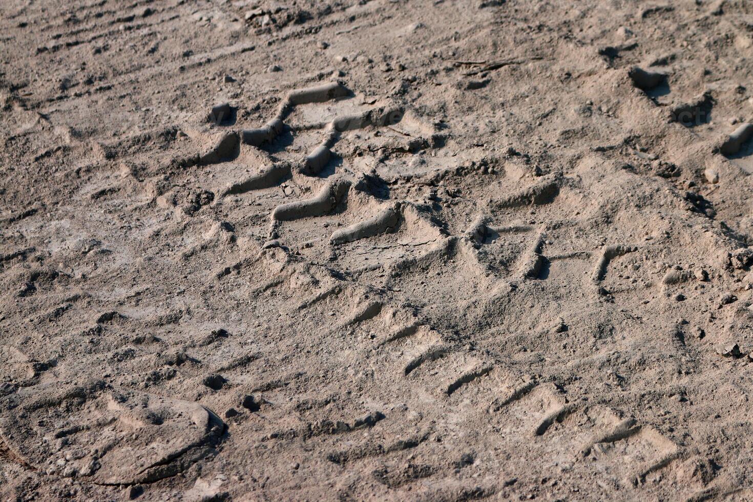 Track marks on loose soil after operating a crawler bulldozer photo