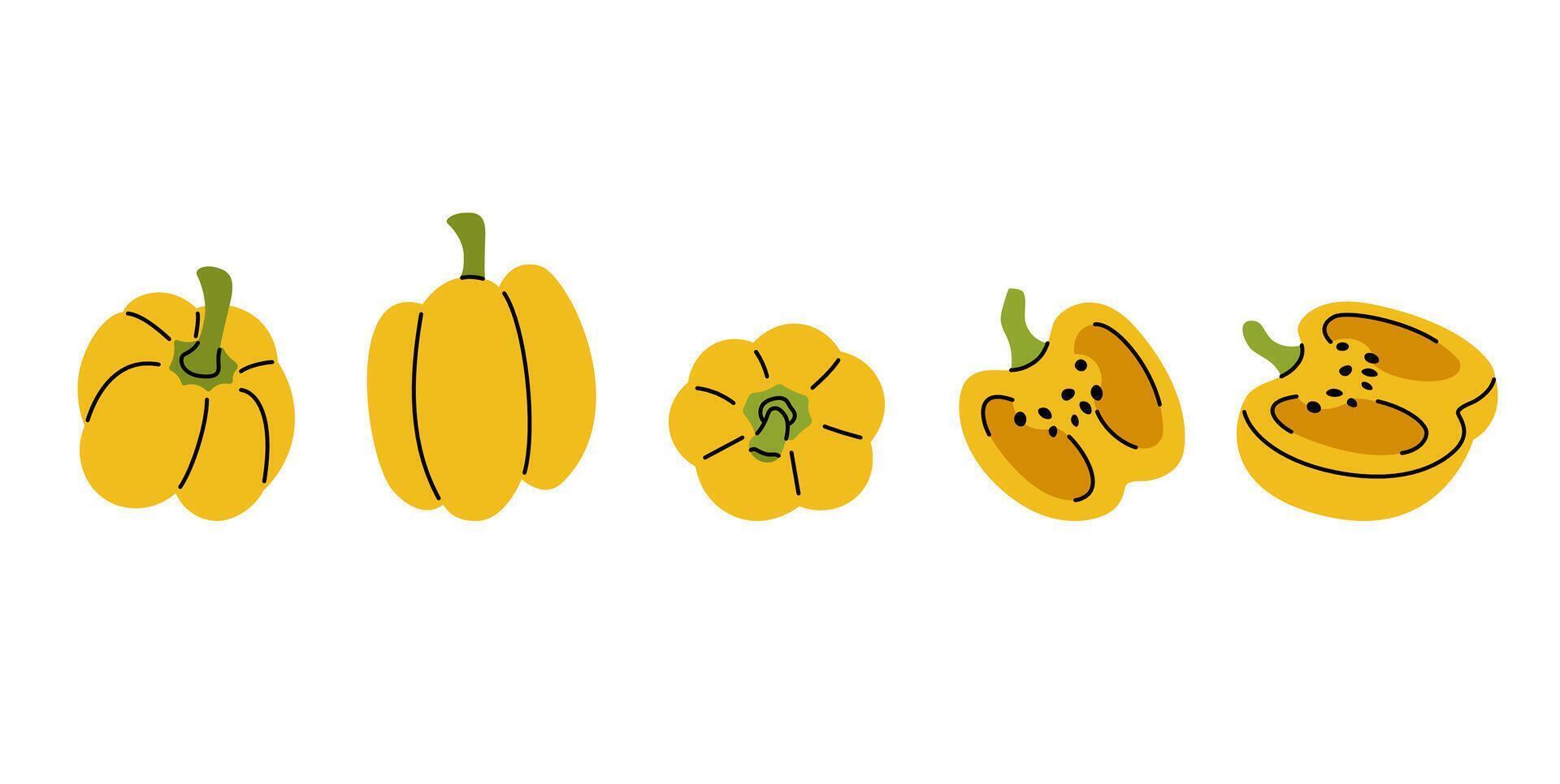 Detailed illustration of a yellow bell pepper showing whole, halved views from multiple angles vector