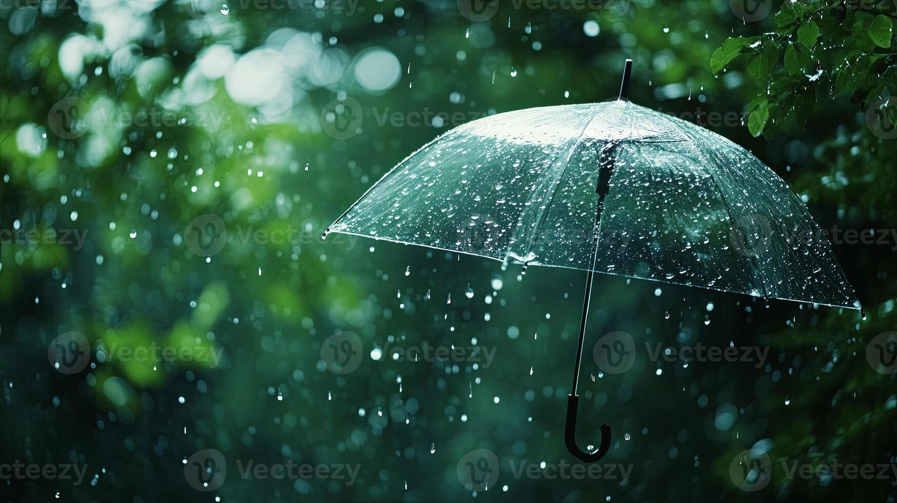 A clear umbrella hangs in the rain, with blurred green foliage in the background. photo