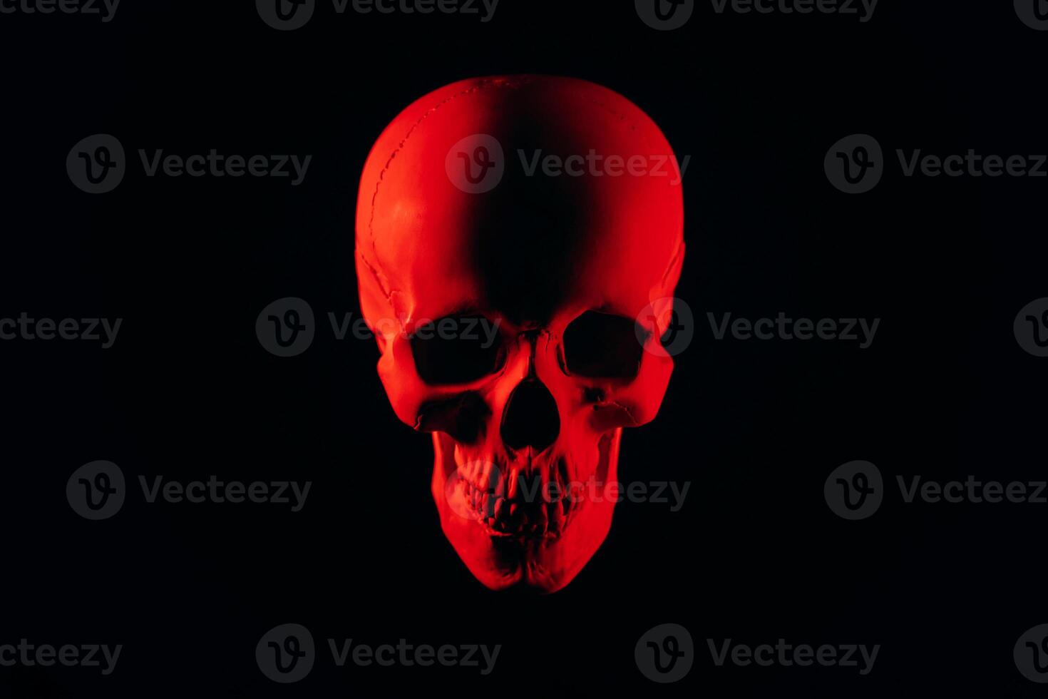 human red skull on black background photo